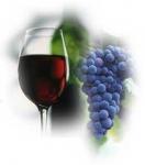Wine glass & grapes